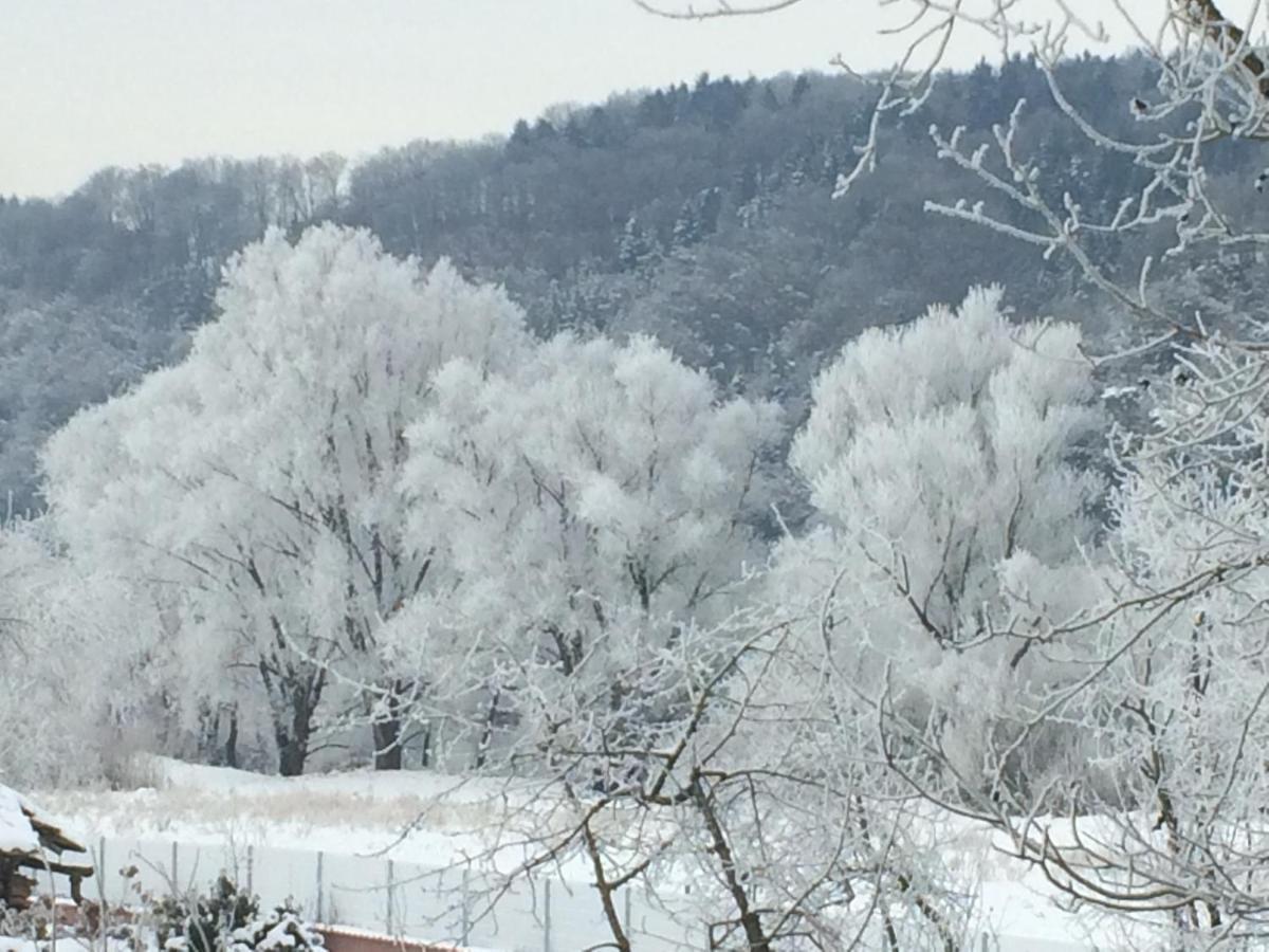 Idylle II An Der Donau Daire Pentling Dış mekan fotoğraf