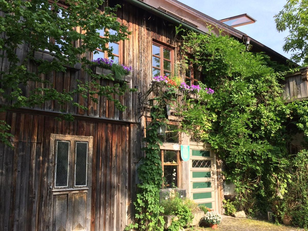 Idylle II An Der Donau Daire Pentling Dış mekan fotoğraf